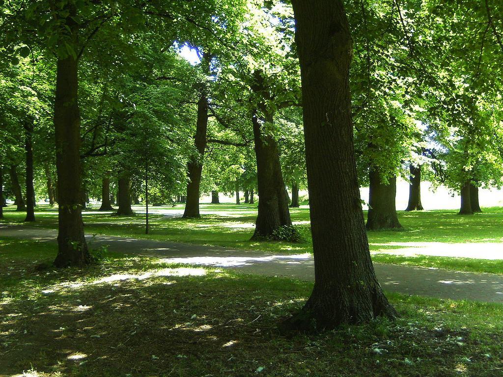 Deventer Heritage En Boutique B&B Museumhuis Huize "De Worp" المظهر الخارجي الصورة